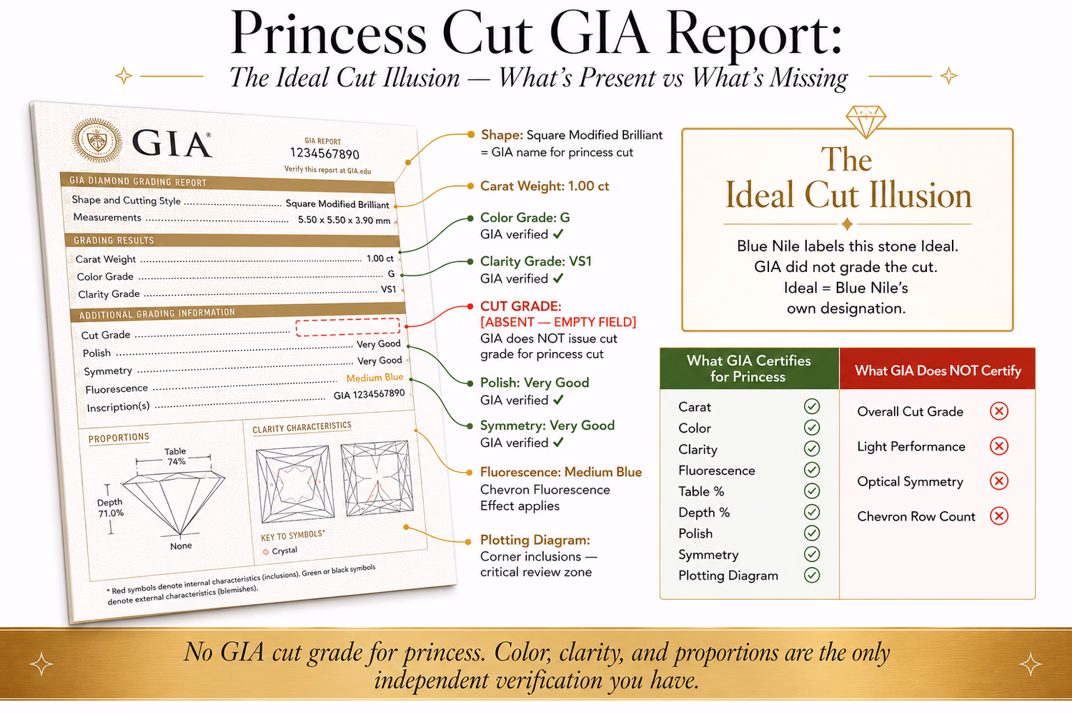 Princess cut diamond GIA report anatomy: which fields are present, which is absent, and what proportion measurements to read in place of the missing cut grade field